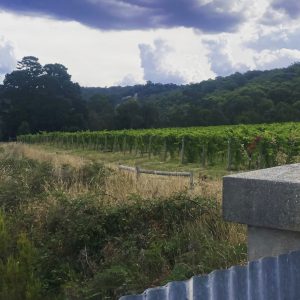 Bobar Yarra Valley Pinot Noir